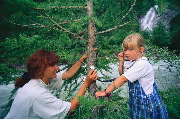 Ein Erwachsener und ein Kind verwenden ein Stethoskop, um einen Baum in einem Wald in der Nähe eines Flusses und eines Wasserfalls abzuhören.
