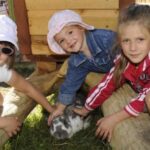 Drei junge Mädchen lächeln und streicheln ein graues und weißes Kaninchen, während sie im Gras neben einer Holzkonstruktion im Freien sitzen.