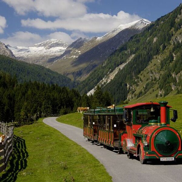 Ein grün-roter Touristenzug fährt auf einem gepflasterten Weg durch ein grünes Tal, umgeben von Bergen und Wäldern unter blauem Himmel.