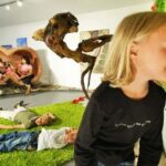 Kinder spielen auf Kunstrasen, während ein Mädchen an einer großen künstlichen Sonnenblume riecht; Erwachsene sitzen und unterhalten sich im Hintergrund einer Innenausstellung oder eines Kunstraums.