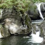 Ein kleiner Wasserfall fließt über felsige Klippen in ein klares Becken, das von moosbewachsenen Felsen und grünem Laub umgeben ist.