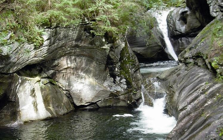Ein kleiner Wasserfall fließt über felsige Klippen in ein klares Becken, das von moosbewachsenen Felsen und grünem Laub umgeben ist.