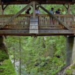 Fünf Personen stehen auf einer überdachten Holzbrücke mit Blick auf ein Waldgebiet und einen darunter liegenden Fluss.