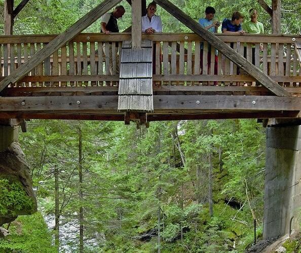 Fünf Personen stehen auf einer überdachten Holzbrücke mit Blick auf ein Waldgebiet und einen darunter liegenden Fluss.