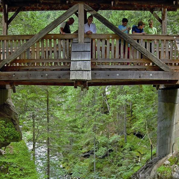 Fünf Personen stehen auf einer überdachten Holzbrücke mit Blick auf ein Waldgebiet und einen darunter liegenden Fluss.