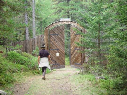 Eine Person geht auf ein offenes Holztor in einem hohen Zaun zu, der von einem dichten grünen Wald umgeben ist.