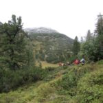 Eine Gruppe von Wanderern wandert auf einem grünen, hügeligen Bergpfad, umgeben von Bäumen und Sträuchern, unter einem bedeckten Himmel.