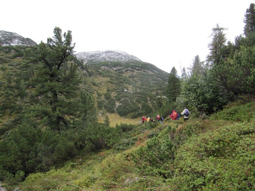 Eine Gruppe von Wanderern wandert auf einem grünen, hügeligen Bergpfad, umgeben von Bäumen und Sträuchern, unter einem bedeckten Himmel.