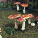 Mehrere rot und weiß gefleckte Pilze, wahrscheinlich Amanita muscaria, wachsen zwischen braunen Kiefernnadeln in der Nähe eines Baumes.