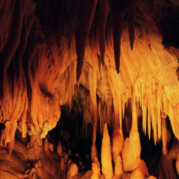 Ein Höhleninneres mit zahlreichen orangefarbenen Stalaktiten, die von der Decke hängen, und Stalagmiten, die aus dem Boden ragen, beleuchtet von warmem Licht.