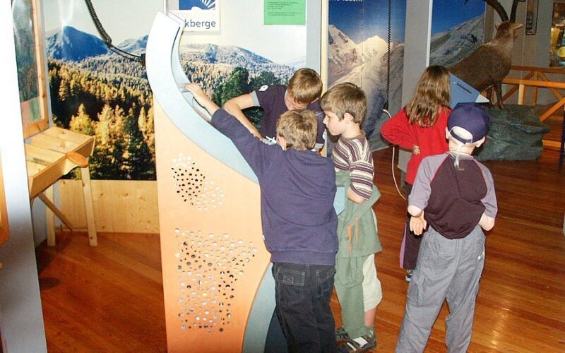 Mehrere Kinder versammeln sich um eine lehrreiche Ausstellung in einem Museum oder Naturzentrum mit Bildern von Bergen und Tieren an den Wänden und interagieren mit ihr.