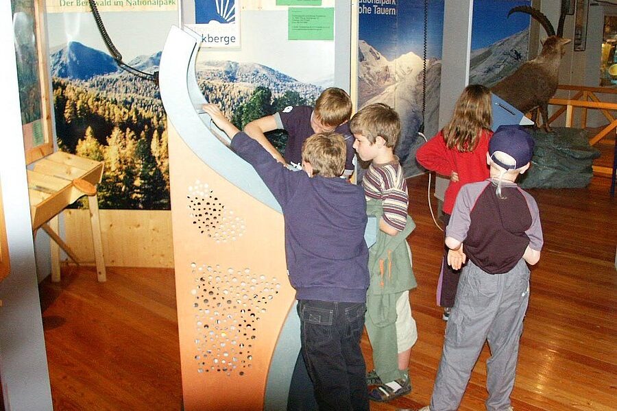 Mehrere Kinder versammeln sich um eine lehrreiche Ausstellung in einem Museum oder Naturzentrum mit Bildern von Bergen und Tieren an den Wänden und interagieren mit ihr.