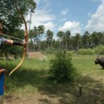 Eine Person zielt mit Pfeil und Bogen auf eine lebensgroße Bison-Zielscheibe in einer grasbewachsenen, bewaldeten Umgebung.