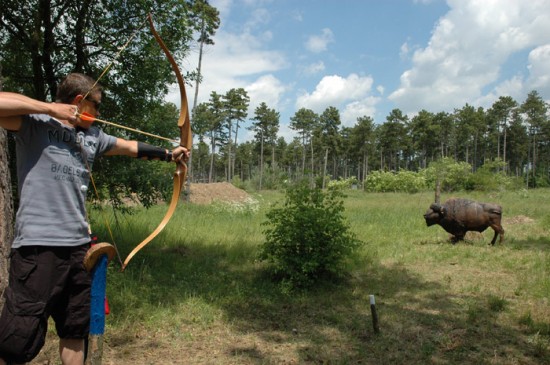Eine Person zielt mit Pfeil und Bogen auf eine lebensgroße Bison-Zielscheibe in einer grasbewachsenen, bewaldeten Umgebung.