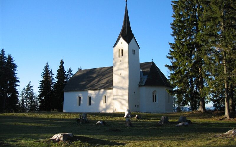 Eine kleine weiße Kirche mit einem hohen Kirchturm steht auf einer Wiese, umgeben von hohen immergrünen Bäumen und Baumstümpfen, unter einem klaren blauen Himmel.