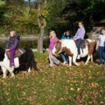 Mehrere Kinder reiten an einem sonnigen Tag in einer Reihe auf Ponys, begleitet von Erwachsenen, die neben ihnen hergehen, während Herbstblätter auf dem Gras verstreut sind.