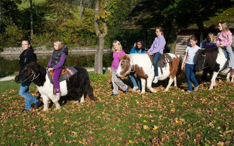 Mehrere Kinder reiten an einem sonnigen Tag in einer Reihe auf Ponys, begleitet von Erwachsenen, die neben ihnen hergehen, während Herbstblätter auf dem Gras verstreut sind.