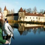 Eine Frau in einem grünen Pullover hält einen Falken an einem spiegelnden See, während im Hintergrund ein Schloss und Bäume zu sehen sind.
