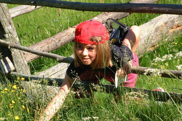 Ein kleines Kind mit roter Mütze und schwarzem Hemd krabbelt an einem sonnigen Tag unter einem Holzzaun hindurch und streckt sich durch hohes Gras und Wildblumen.