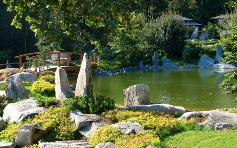 Ein angelegter japanischer Garten mit großen Steinen, grünen Sträuchern, einem Teich und einer kleinen Holzbrücke im Hintergrund.
