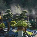 Ein Garten mit mehreren Bonsai-Bäumen auf Ständern, umgeben von Felsen und einem Holzzaun, mit aufsteigendem Nebel im Hintergrund.