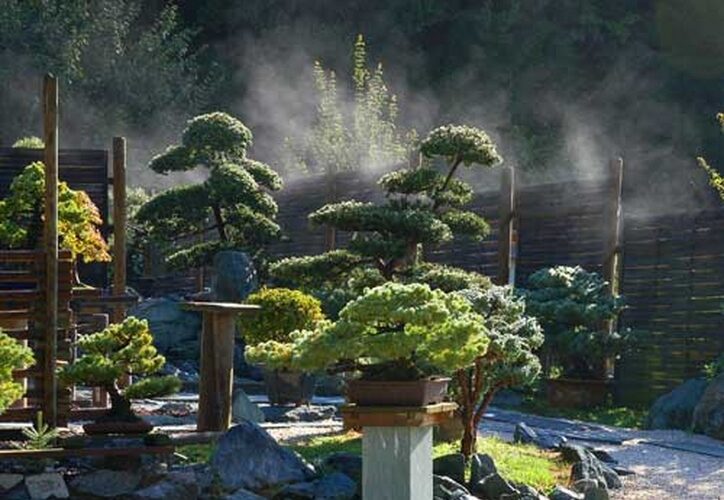 Ein Garten mit mehreren Bonsai-Bäumen auf Ständern, umgeben von Felsen und einem Holzzaun, mit aufsteigendem Nebel im Hintergrund.