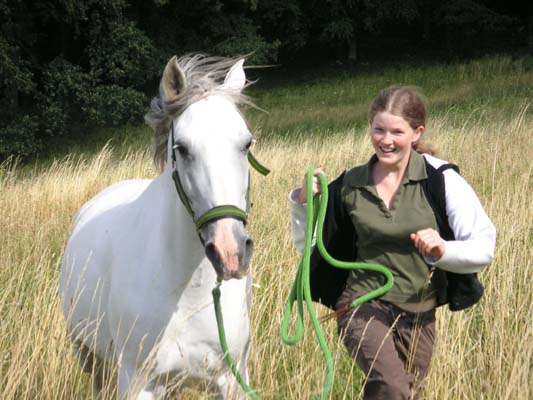 Eine Person mit einem grünen Führstrick geht neben einem weißen Pferd auf einer Wiese.