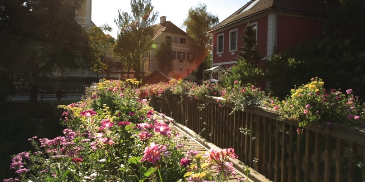Das Sonnenlicht scheint auf ein Gartenbeet mit bunten Blumen neben einem Holzzaun, mit einem Kirchturm und Häusern im Hintergrund.