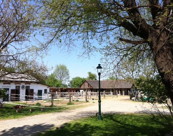 Eine ländliche Szene mit weißen eingezäunten Koppeln, einem Bauernhaus, Scheunen, einer unbefestigten Straße und Bäumen unter einem klaren blauen Himmel.