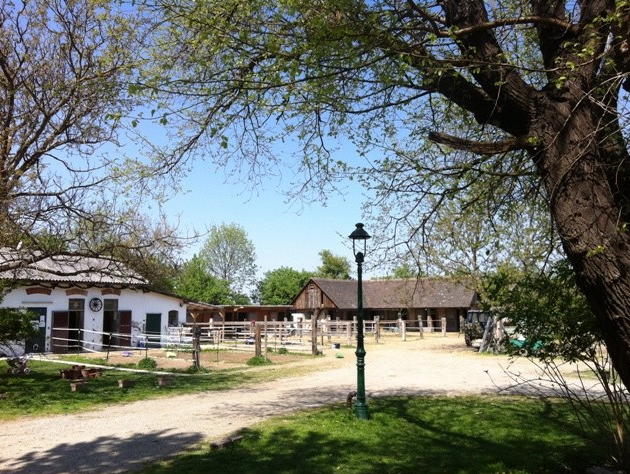 Eine ländliche Szene mit weißen eingezäunten Koppeln, einem Bauernhaus, Scheunen, einer unbefestigten Straße und Bäumen unter einem klaren blauen Himmel.