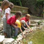 Fünf Kinder und ein Erwachsener kauern am Rande eines kleinen Teichs und berühren das Wasser und die Steine, während im Hintergrund ein Holzzaun und Grünpflanzen zu sehen sind.