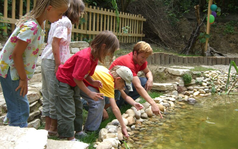 Fünf Kinder und ein Erwachsener kauern am Rande eines kleinen Teichs und berühren das Wasser und die Steine, während im Hintergrund ein Holzzaun und Grünpflanzen zu sehen sind.