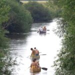 Mehrere Gruppen von Menschen paddeln an einem hellen Tag mit Kanus einen ruhigen, von Bäumen gesäumten Fluss hinunter.