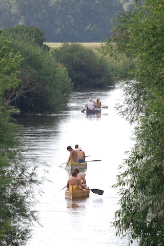 Mehrere Gruppen von Menschen paddeln an einem hellen Tag mit Kanus einen ruhigen, von Bäumen gesäumten Fluss hinunter.