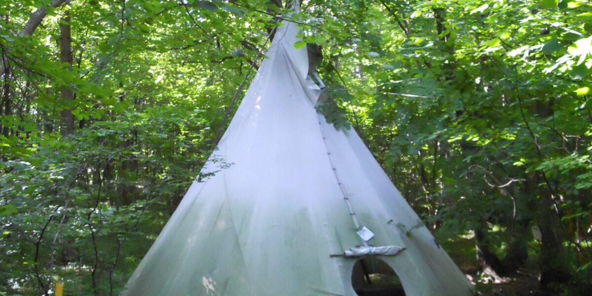 Ein Tipi aus weißem Segeltuch steht inmitten dichter grüner Bäume in einem Wald, wobei das Sonnenlicht durch die Blätter auf den Boden fällt.