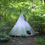 Ein Tipi aus weißem Segeltuch steht inmitten dichter grüner Bäume in einem Wald, wobei das Sonnenlicht durch die Blätter auf den Boden fällt.