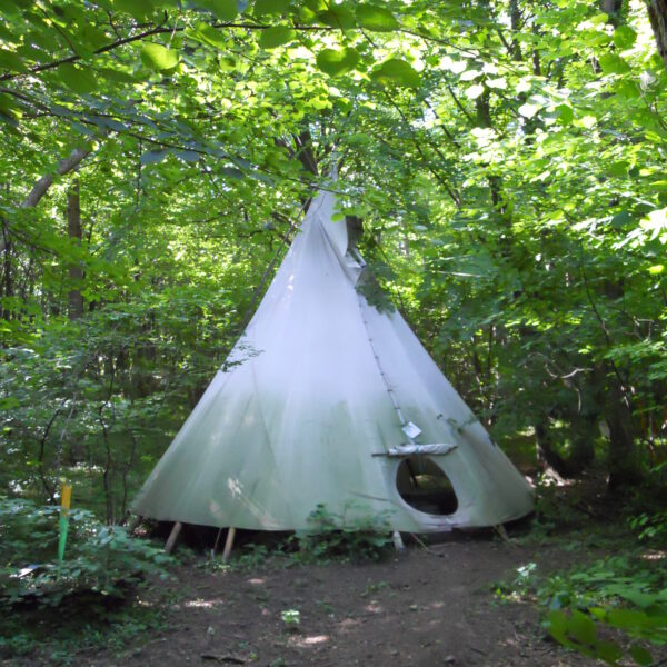 Ein Tipi aus weißem Segeltuch steht inmitten dichter grüner Bäume in einem Wald, wobei das Sonnenlicht durch die Blätter auf den Boden fällt.