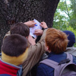 Vier Kinder mit Rucksäcken drängen sich um einen Baum und schreiben oder zeichnen mit einem Marker auf ein Stück Papier, das im Freien an den Baumstamm gedrückt wird.