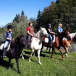 Vier Menschen auf Pferden reiten Seite an Seite durch eine grasbewachsene Wiese, umgeben von Bäumen und Bergen unter einem klaren blauen Himmel.
