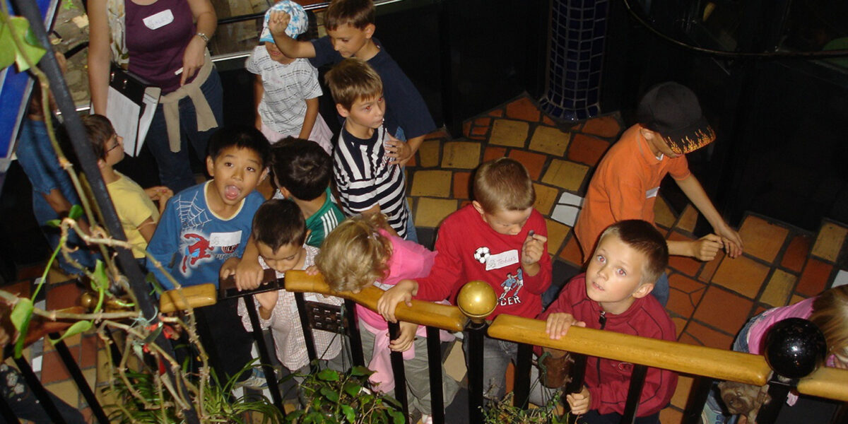 Eine Gruppe von Kindern steht dicht beieinander auf einer gefliesten Treppe, einige schauen nach oben, während ein Erwachsener in der Nähe steht und Papiere hält.
