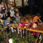 Eine Gruppe von Kindern steht dicht beieinander auf einer gefliesten Treppe, einige schauen nach oben, während ein Erwachsener in der Nähe steht und Papiere hält.