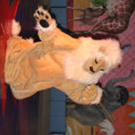 Person in einem Löwenkostüm, die auf der Bühne vor einem farbenfrohen Hintergrund mit Tiermotiven auftritt, darunter Gemälde einer Giraffe und eines Elefanten.