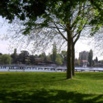 Ein grasbewachsener Park mit vereinzelten Bäumen überblickt einen ruhigen Fluss, an dessen gegenüberliegendem Ufer bei klarem Himmel ein Steg und Gebäude zu sehen sind.