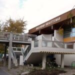 Außenansicht des Ballenbads Brigittenau, eines öffentlichen Gebäudes mit einer Treppe, die zu einem Eingang führt, und großen Fenstern, umgeben von Bäumen und einem gepflasterten Gehweg.