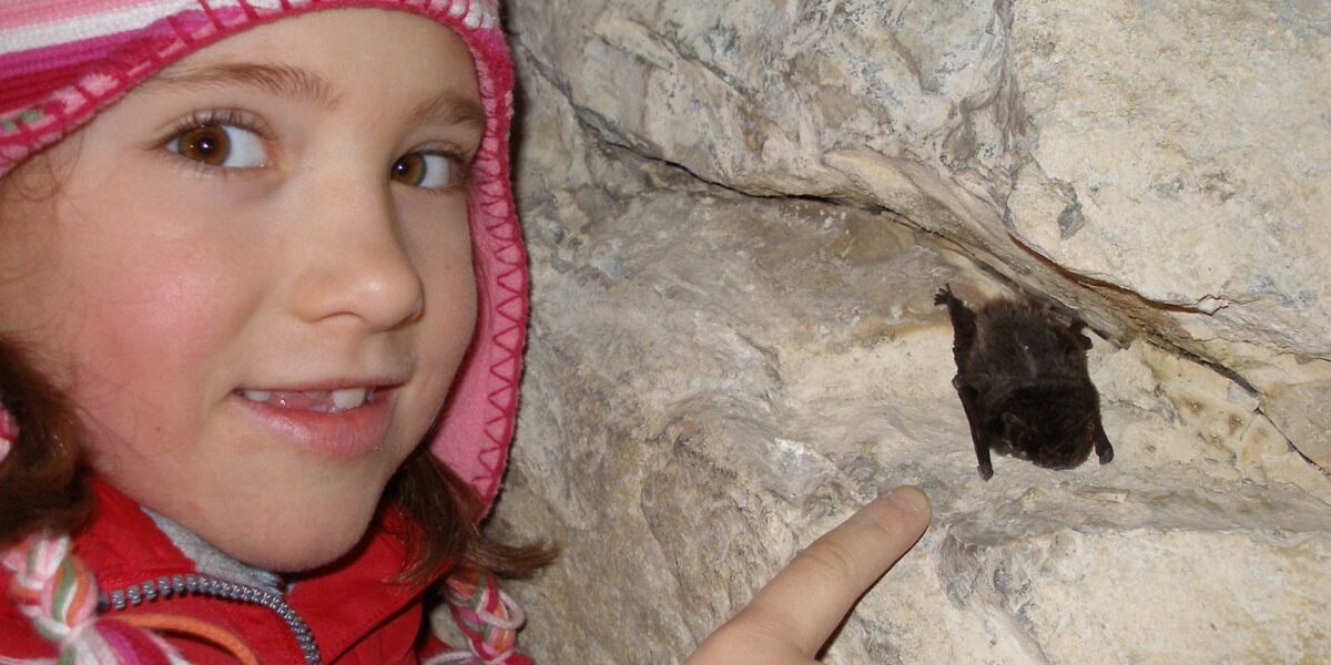 Ein Kind in roter Jacke und gestreiftem Hut zeigt auf eine kleine Fledermaus, die in einer Felsspalte ruht.