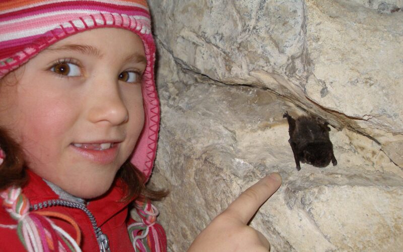 Ein Kind in roter Jacke und gestreiftem Hut zeigt auf eine kleine Fledermaus, die in einer Felsspalte ruht.