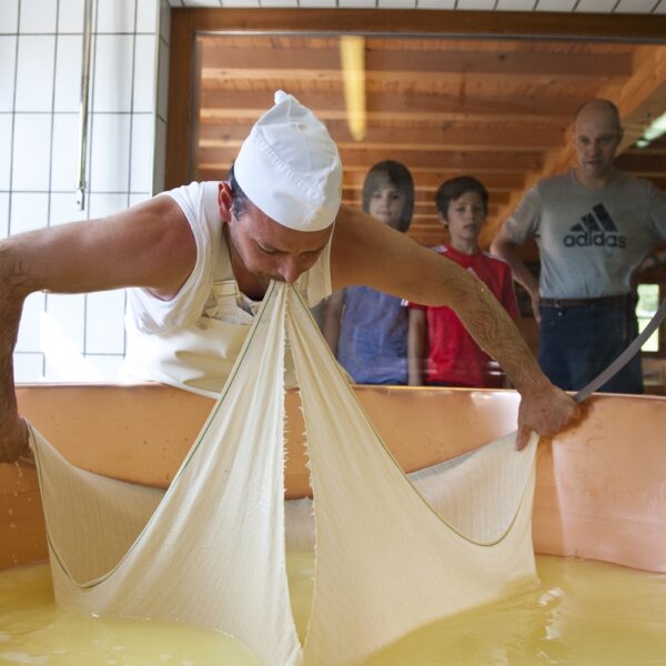 Ein Käser mit weißer Mütze hebt ein großes Stück Käsebruch aus einem Bottich mit Flüssigkeit, während drei Zuschauer durch ein Fenster zuschauen.