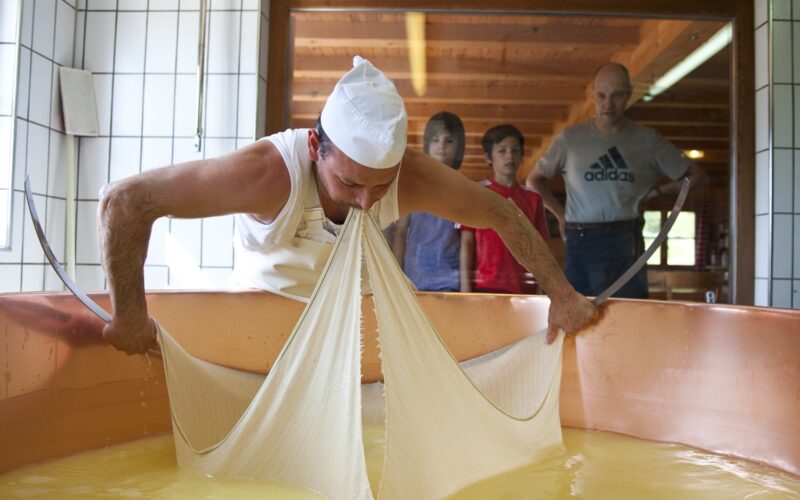 Ein Käser mit weißer Mütze hebt ein großes Stück Käsebruch aus einem Bottich mit Flüssigkeit, während drei Zuschauer durch ein Fenster zuschauen.
