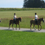 Drei Personen mit Helmen reiten auf Pferden in einer Reihe auf einem gepflasterten Weg neben einem grasbewachsenen Feld, mit Bäumen und Feldfrüchten im Hintergrund.