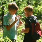 Zwei Jungen stehen in einem sonnenbeschienenen Wald, einer hält eine Lupe in der Hand und untersucht einen Gegenstand, während der andere zusieht und einen Rucksack trägt.